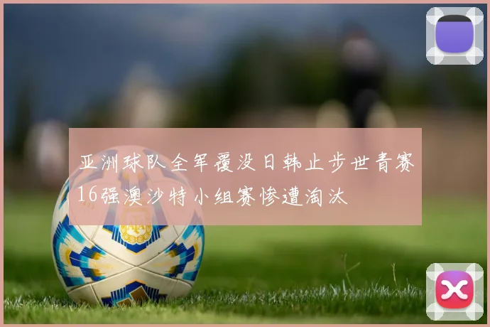 亚洲球队全军覆没日韩止步世青赛16强澳沙特小组赛惨遭淘汰