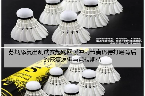 苏炳添复出测试赛起跑回暖冲刺节奏仍待打磨背后的恢复逻辑与竞技期待（kaiyun）